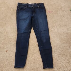 LOFT Dark Indigo Skinny Jeans